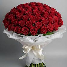 Букет 101 Красная роза Блэк Мэджик в Канглах