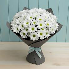 Букет цветов из:  Хризантемы в Канглах