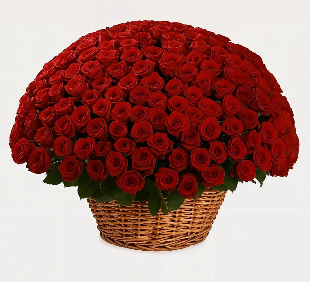 Премиум букет из: Розы в Канглах