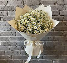 Букет цветов из:  Ромашки #REPLACE_PRED# Канглах