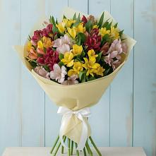 Букет цветов из:  Альстромерии в Канглах