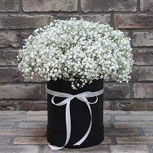 Цветочная композиция из Гипсофила в шляпной коробке в Канглах
