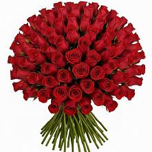 Букет Красные розы Чери Лав в Канглах